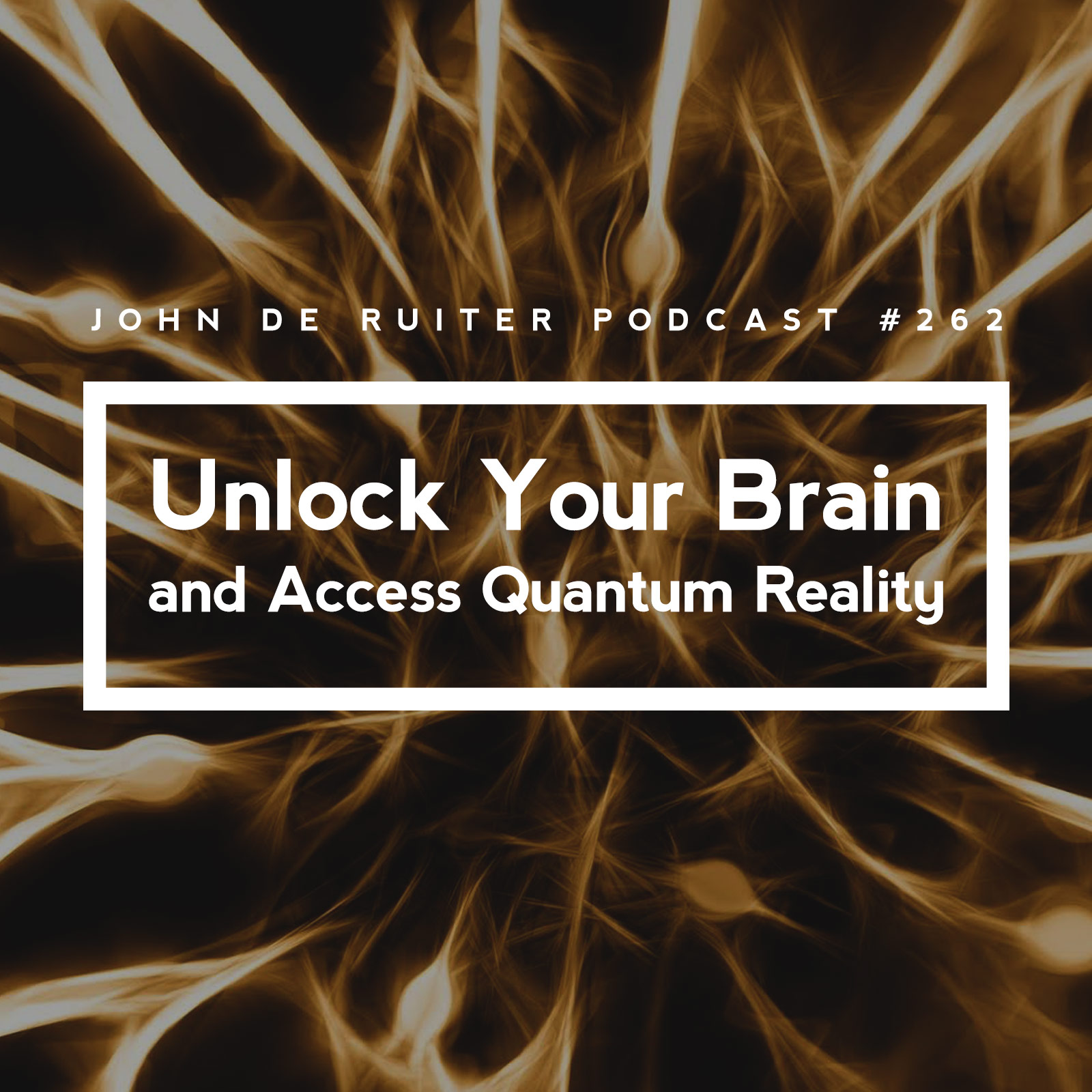 Unlock Your Brain: Matching Letters To Sensory Areas! - 2qezjv1