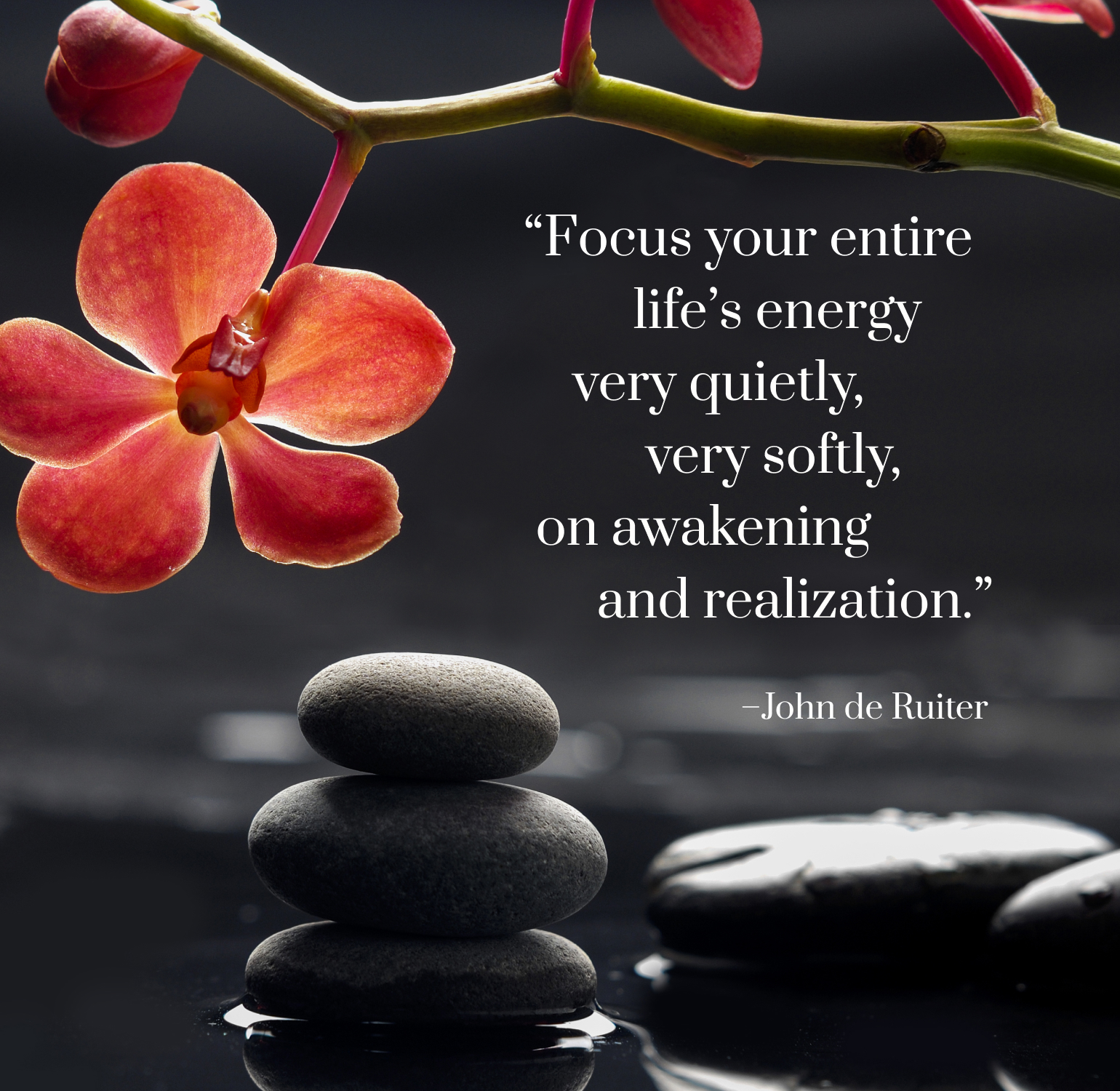 Focus your entire life's energy very quietly, very softly, on awakening ...