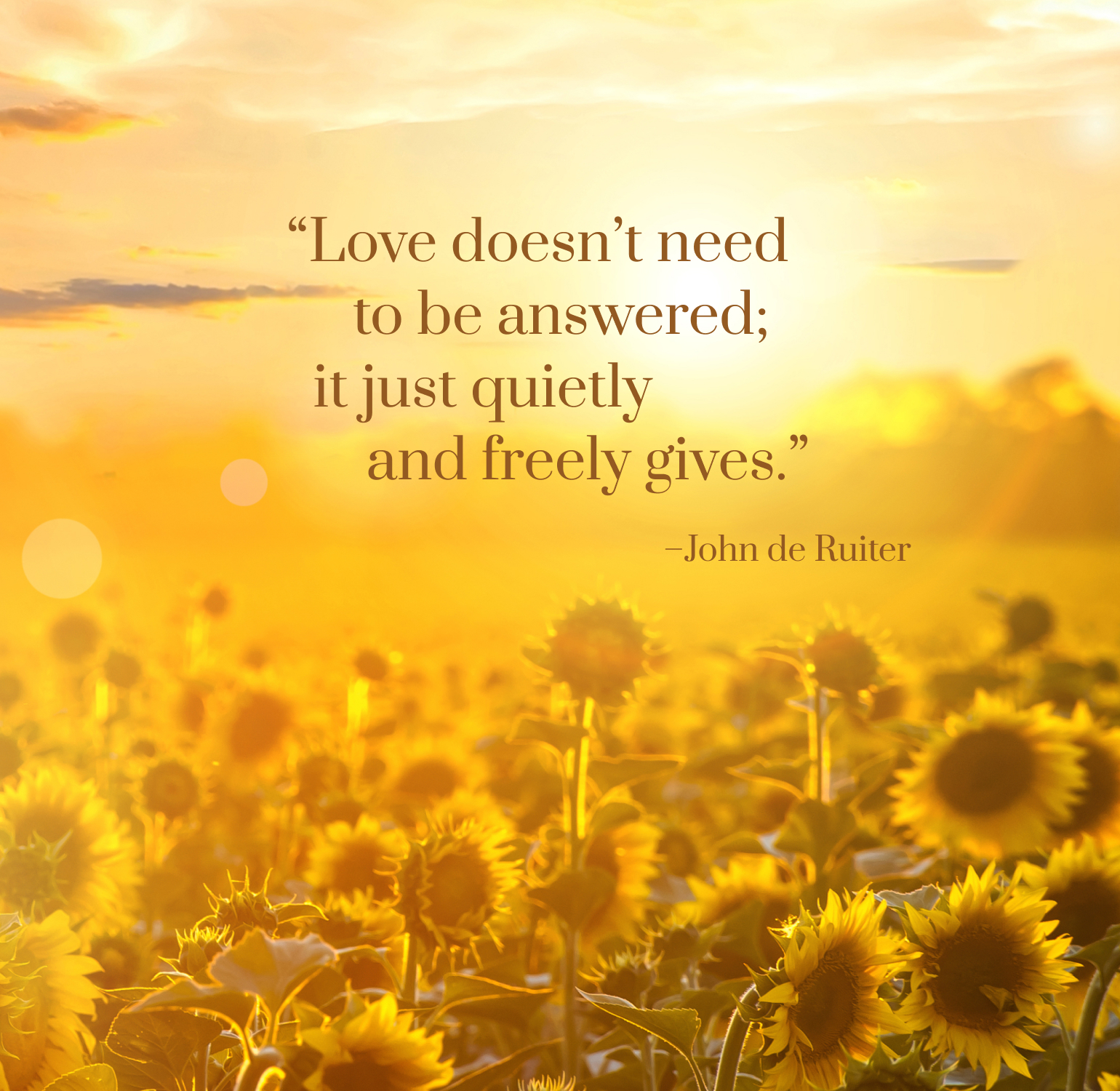 love-doesn-t-need-to-be-answered-it-just-quietly-and-freely-gives