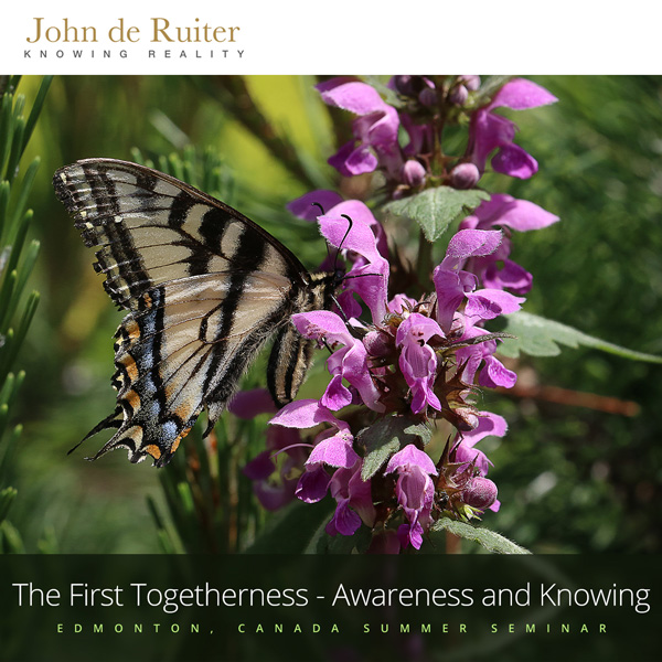 281 - The First Togetherness - Awareness and Knowing