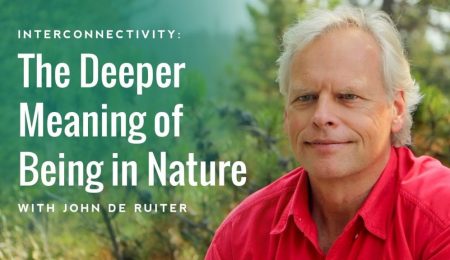 Interconnectivity- The Deeper Meaning of Being in Nature