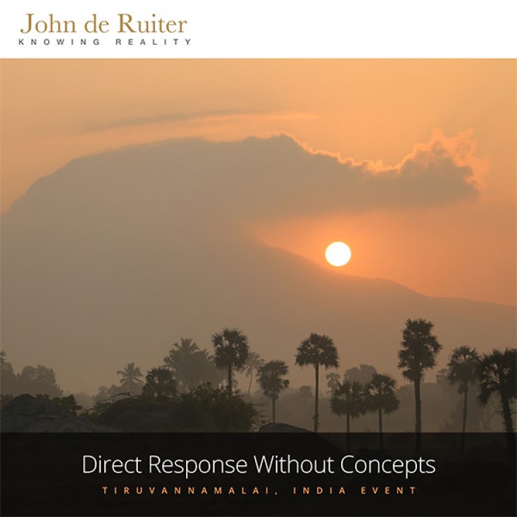 cdle-223_john_de_ruiter_store_product_art