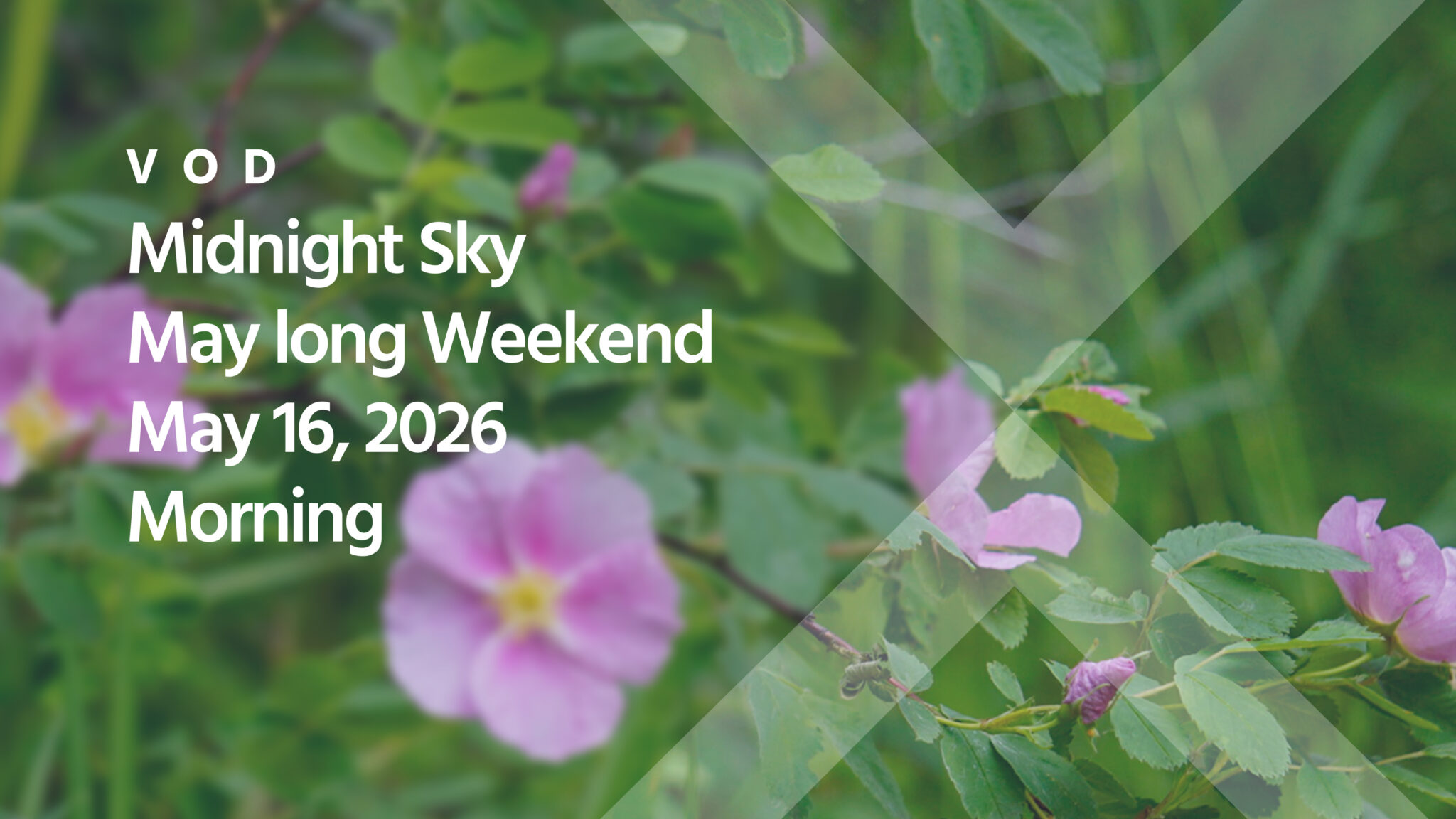 Midnight Sky May Long Weekend, May 17, 2026 Morning - John de Ruiter